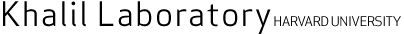khalil lab